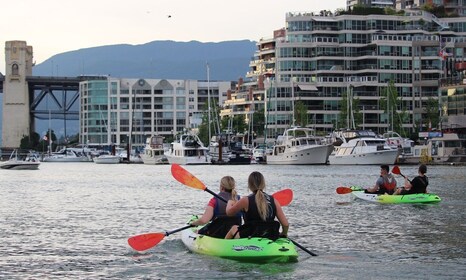 Vancouver: Glatt klassisk kajakktur