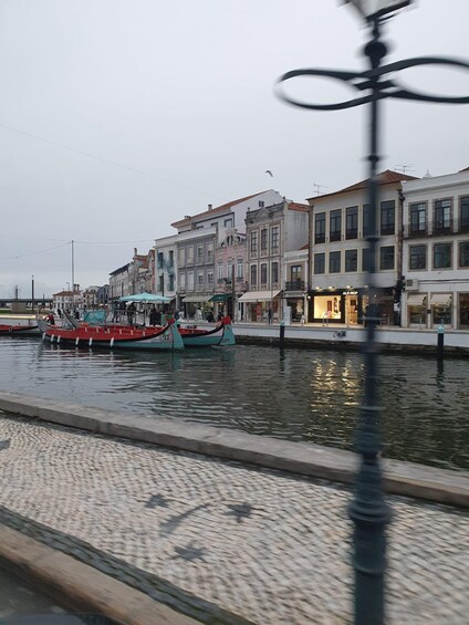 Picture 2 for Activity Porto and Aveiro private day trip from Lisbon