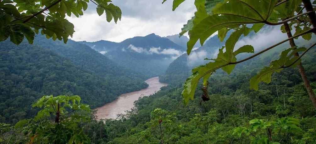 Picture 3 for Activity From Iquitos: Magical Tarapoto (5D/4N)