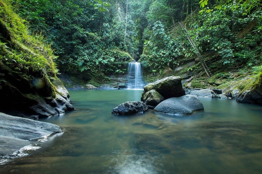 Picture 1 for Activity From Iquitos: Magical Tarapoto (5D/4N)