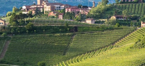 Barbaresco: E-Bike Tour of Piedmont Wineries with Tastings