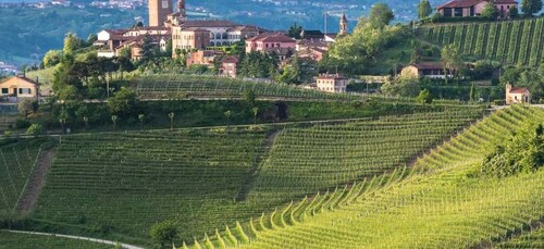 Barbaresco: E-Bike Tour of Piedmont Wineries with Tastings