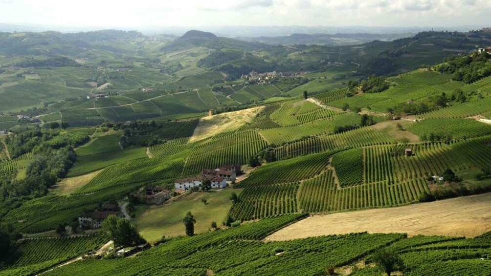 Picture 1 for Activity Barbaresco: E-Bike Tour of Piedmont Wineries with Tastings