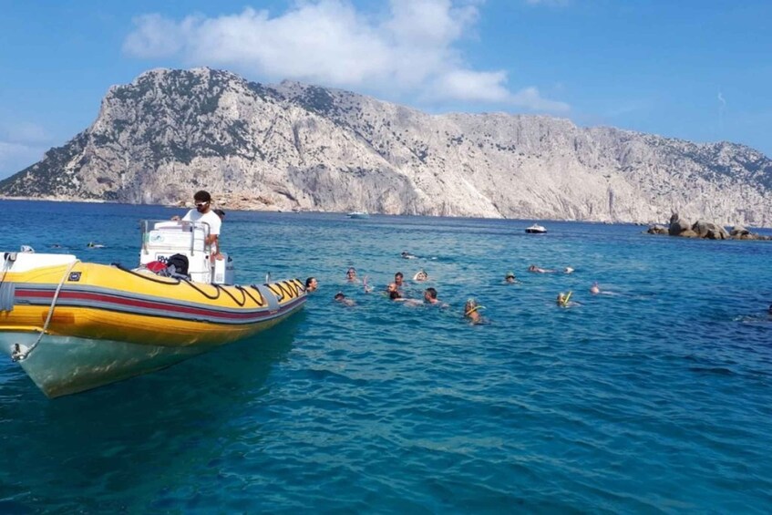 Picture 5 for Activity Golfo Aranci: Tavolara and Molara Snorkeling Dinghy Tour