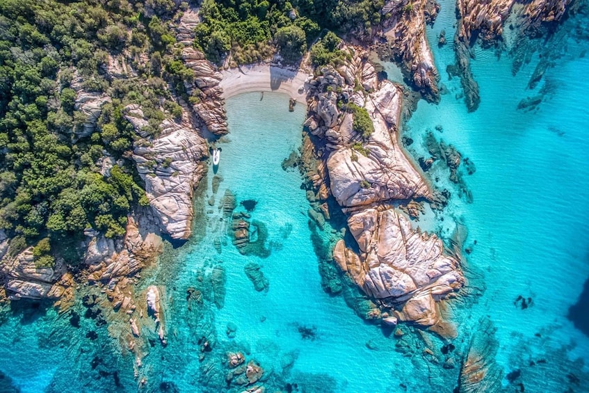 Picture 1 for Activity Golfo Aranci: Tavolara and Molara Snorkeling Dinghy Tour