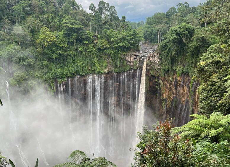 Picture 1 for Activity 2D1N Tumpak Sewu and Bromo Sunrise From Surabaya/Malang