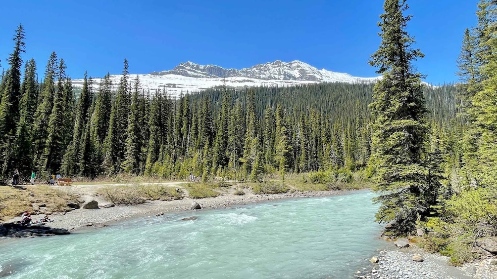 Picture 4 for Activity From Calgary: Banff & Yoho National Parks Private Day Tour