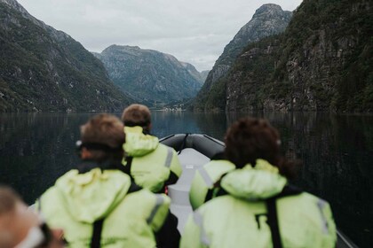 Øystese : Safari privé en semi-rigide dans le fjord de Fyksesund