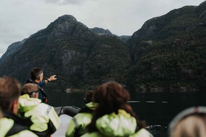 Øystese : Safari privé en semi-rigide dans le fjord de Fyksesund