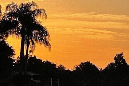Crucero al atardecer en King's Bay