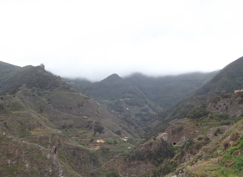 Picture 3 for Activity Santa Cruz de Tenerife: 2-Hour Hiking Tour in Anaga Forest