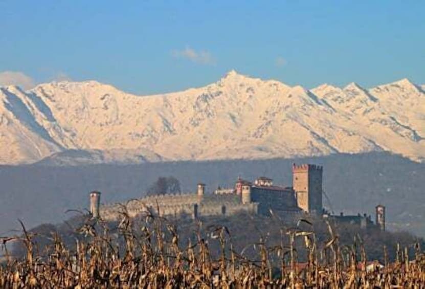 Picture 5 for Activity From Turin: food and wine guided tour in Canavese