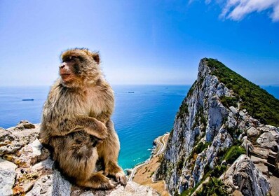 Gibraltar og Vejer: Privat dagstur fra Sevilla