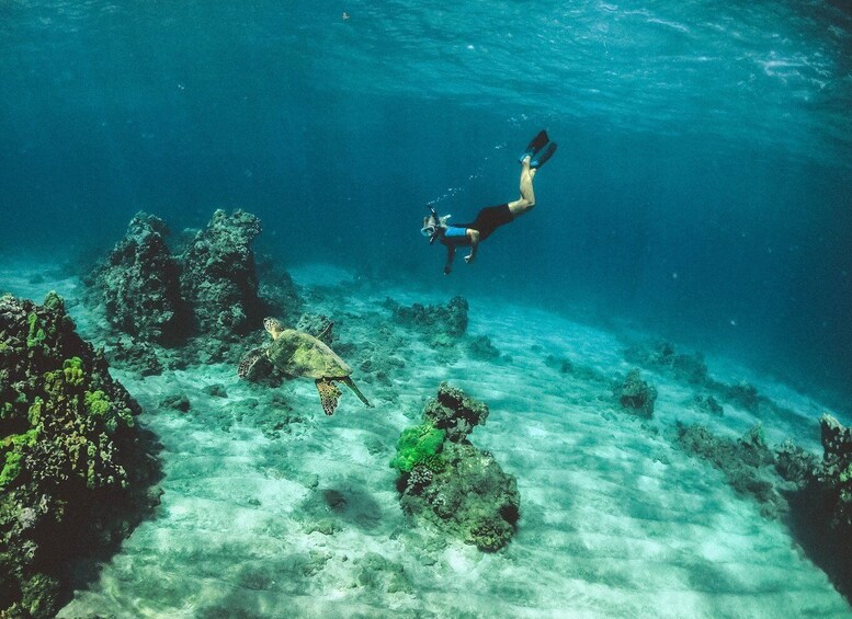 Picture 2 for Activity Night Snorkeling in Mirissa