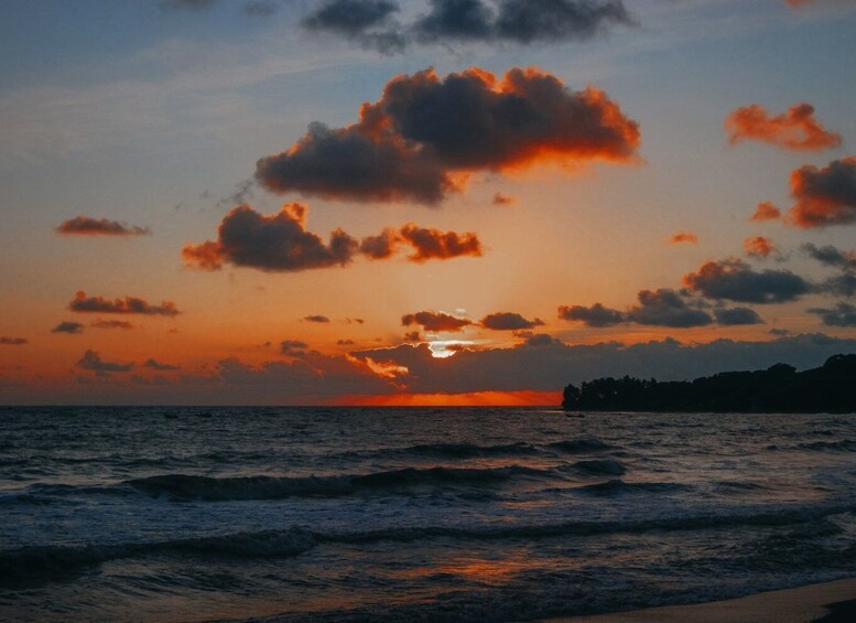 Picture 4 for Activity Night Snorkeling in Mirissa