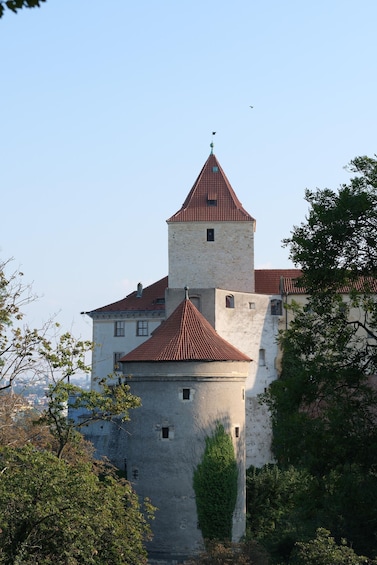 Picture 18 for Activity Prague: Skip-the-line Castle Ticket and Optional Audio Guide