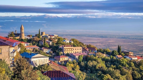 Kakheti: Group Tour - Wine & City of Love