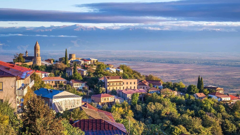 Kakheti: Group Tour - Wine & City of Love