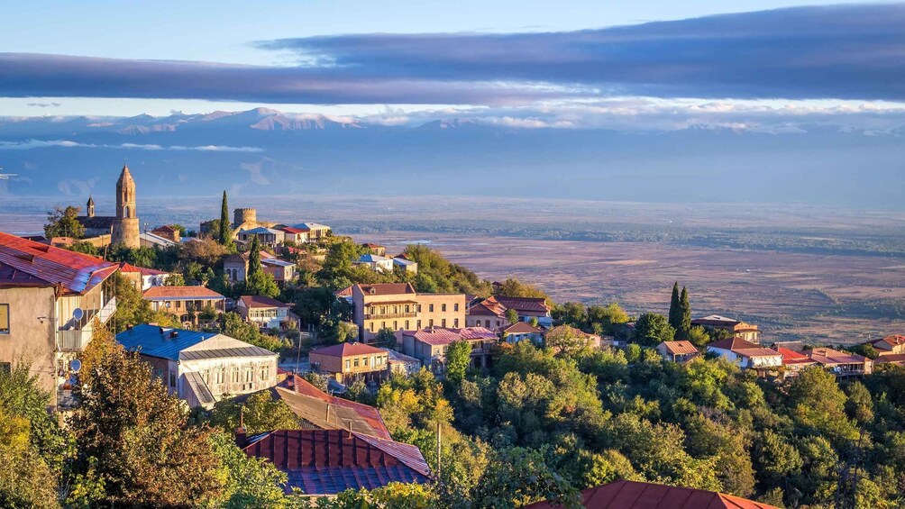 Kakheti: Group Tour - Wine & City of Love