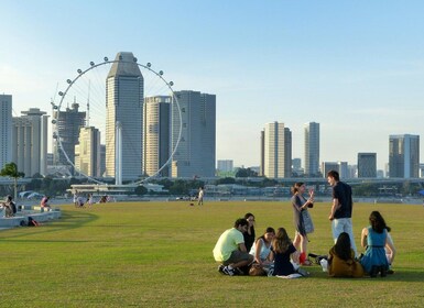 Singapore: Private Welcome City Tour