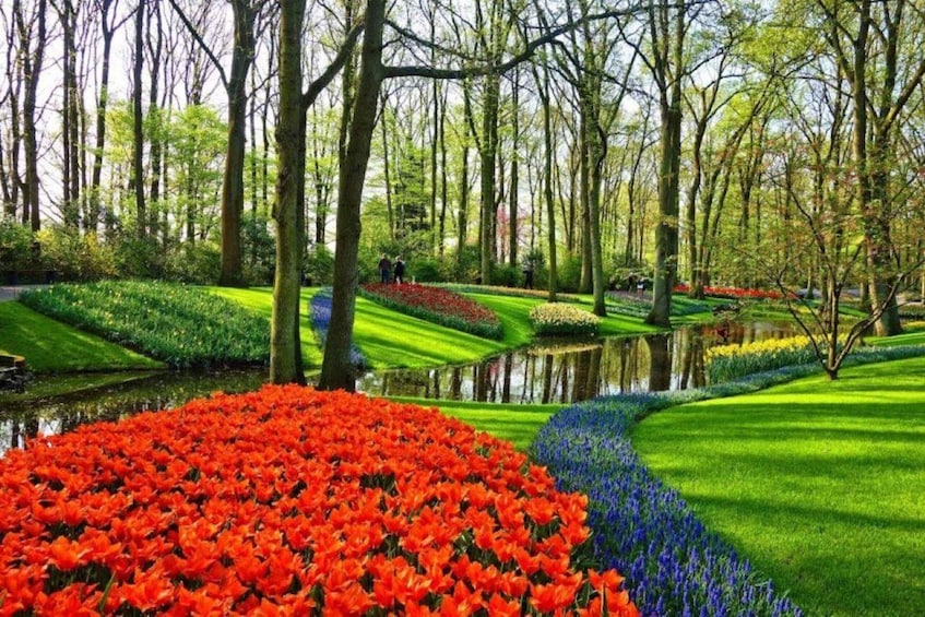 Picture 4 for Activity Private tour to Tulips, Keukenhof, Windmills & Cheese Farm