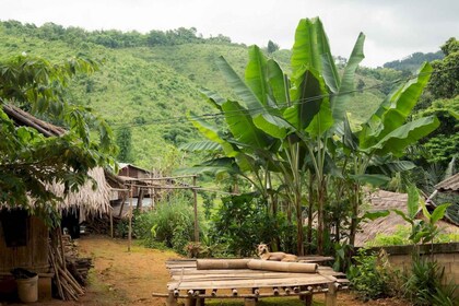 Akha et Lahu village trekking 1 jour