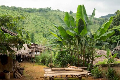 Trekking de 1 día por los pueblos Akha y Lahu