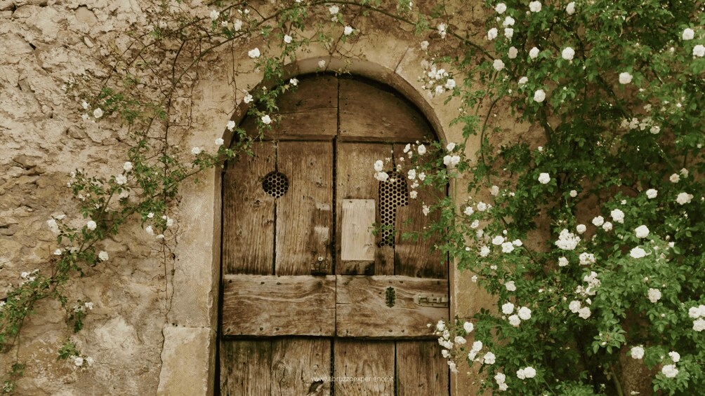 Picture 1 for Activity Abruzzo of Ladyhawke (summer version)
