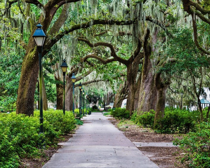 Picture 1 for Activity Savannah: 'We Shall Overcome' Black History Walking Tour