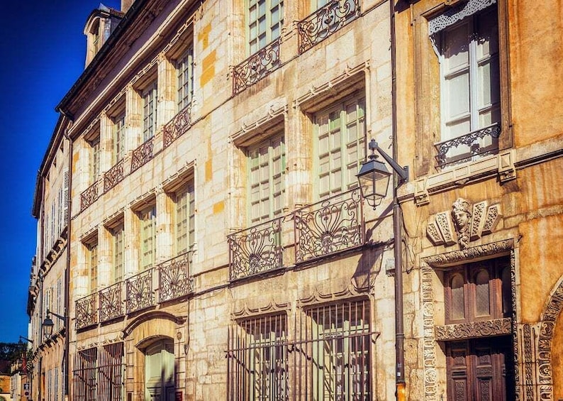 Picture 3 for Activity Beaune - Historic Guided Walking Tour