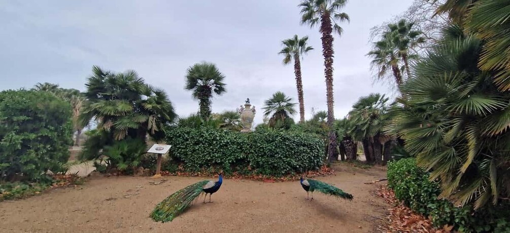 Picture 17 for Activity From Salou: Park Samá with 1 vermouth tasting, hotel Pickup