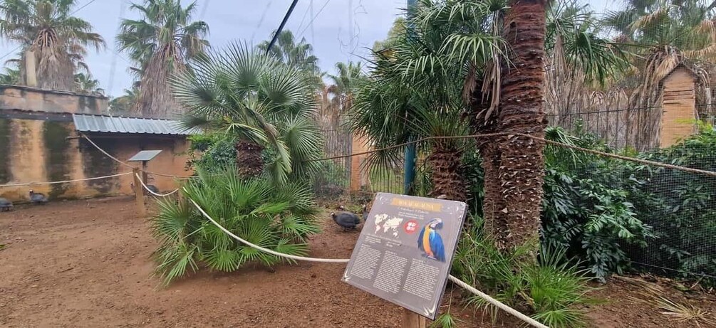 Picture 10 for Activity From Salou: Park Samá with 1 glass vermout with hotel Pickup