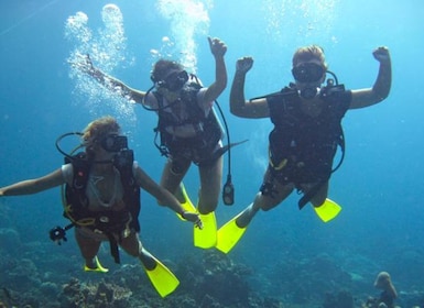 Borneo 3-Dive Scuba Diving Day Trip in Kota Kinabalu