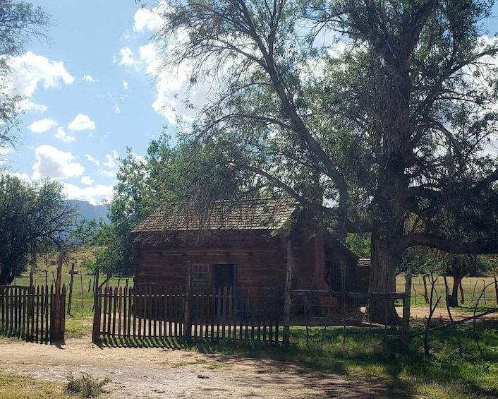 Picture 7 for Activity Zion National Park - Kolob Terrace: 1/2 Day Sightseeing Tour