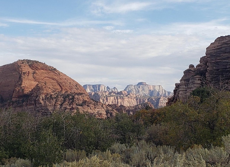 Zion National Park - Kolob Terrace: 1/2 Day Sightseeing Tour