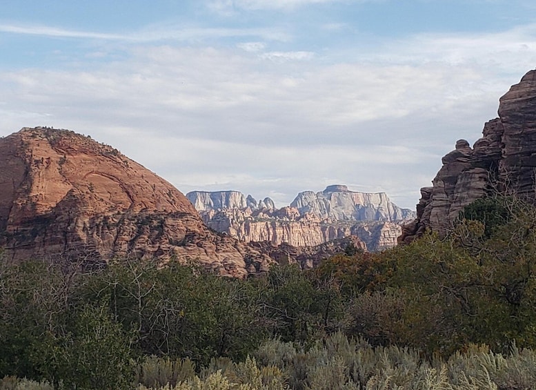 Zion National Park - Kolob Terrace: 1/2 Day Sightseeing Tour