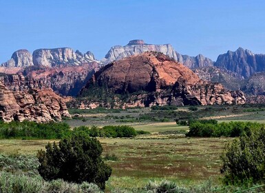 Zion National Park - Kolob Terrace: 1/2 Day Sightseeing Tour