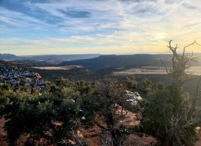 Picture 5 for Activity Zion National Park - Kolob Terrace: 1/2 Day Sightseeing Tour