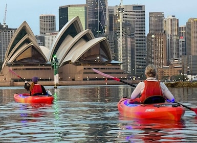 Sydney: Opernhaus und Hafen - Geführte Kajaktour