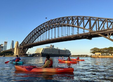 Sidney: Excursión guiada en kayak por la Ópera y el puerto