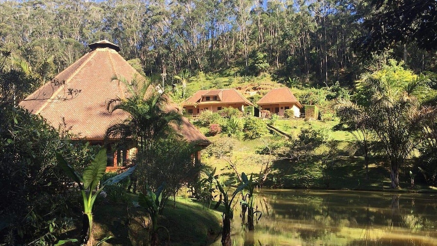From Antananarivo: 3 days to wild Andasibe park & lodge