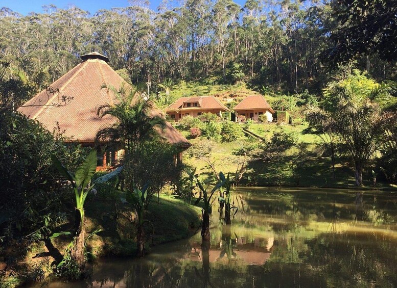 From Antananarivo: 3 days to wild Andasibe park & lodge