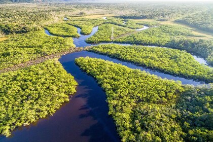 Manaus: Amazonas-Dschungelwanderung und Anavilhanas-Archipel