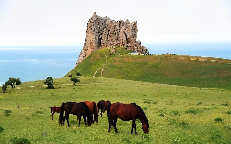 Picture 1 for Activity Baku: Guba, Candy Canes, and Shahdag Mountain Resort Tour