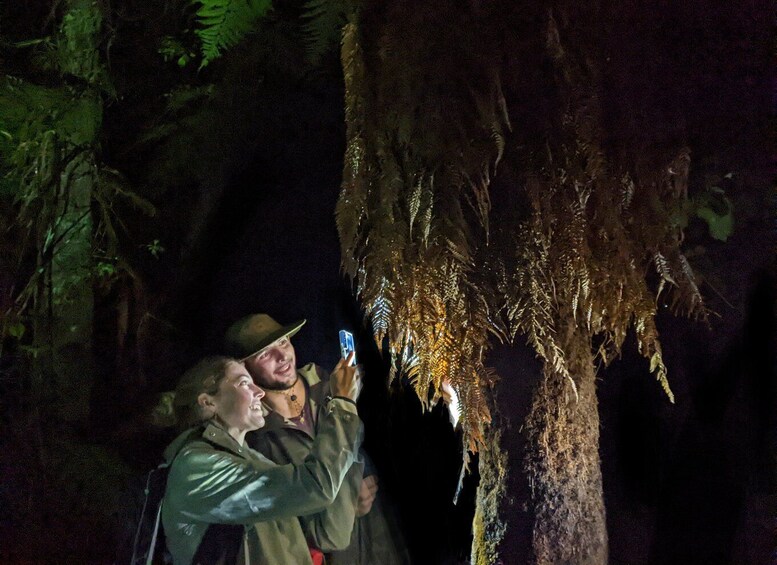 Picture 1 for Activity Rotorua: Nocturnal Glow-Worm Adventure Tour with a Guide