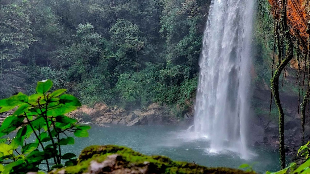 Picture 4 for Activity From Palenque: Palenque, Agua Azul Waterfalls and Misol-Ha