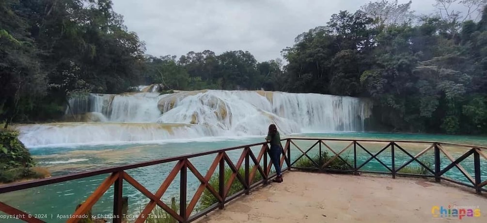 Picture 8 for Activity From Palenque: Palenque, Agua Azul Waterfalls and Misol-Ha