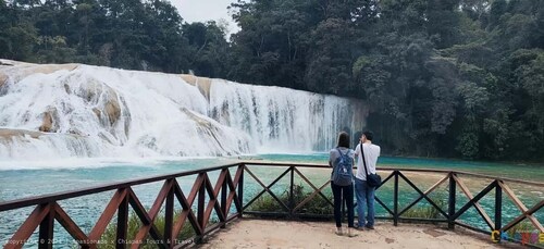 Fra Palenque: Palenque, Agua Azul-vandfald og Misol-Ha