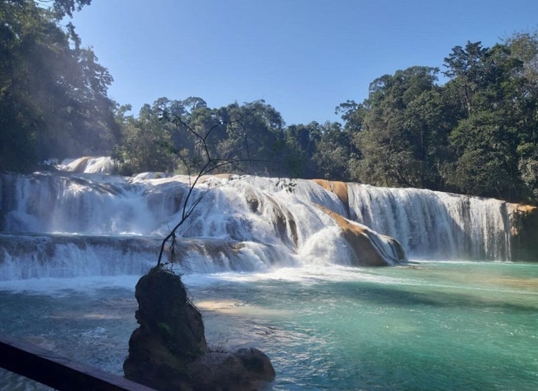 Picture 1 for Activity From Palenque: Palenque, Agua Azul Waterfalls and Misol-Ha