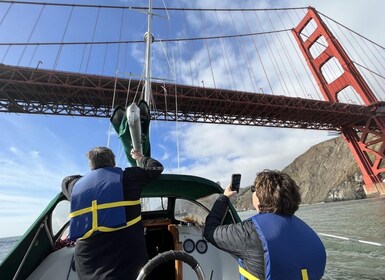 2hr PRIVATE Sailing Experience on San Francisco Bay 6 Guests